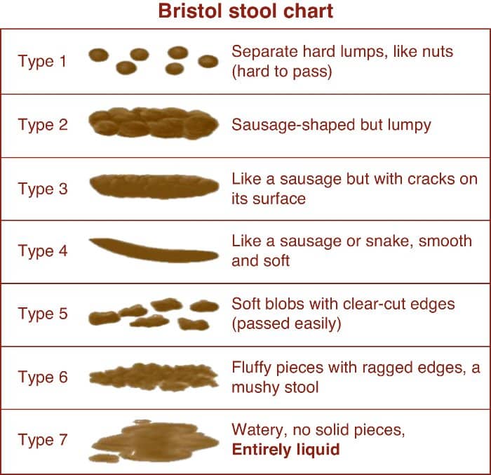 Bristol-stool-chart1.jpeg