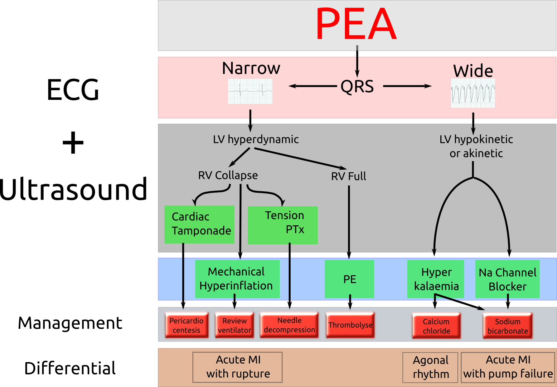 littman_pea_algorithm.png